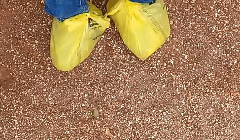 Packing Corn to the Feeding Area with Plastic Bags on Feet