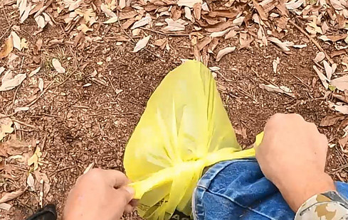 Plastic Bags on Feet to Cover Scent