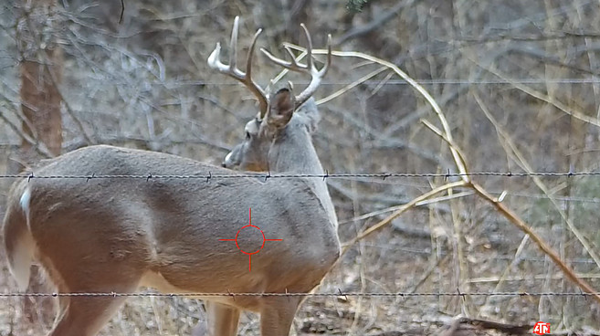 Deer Hunting 10 Point Buck Crossbow