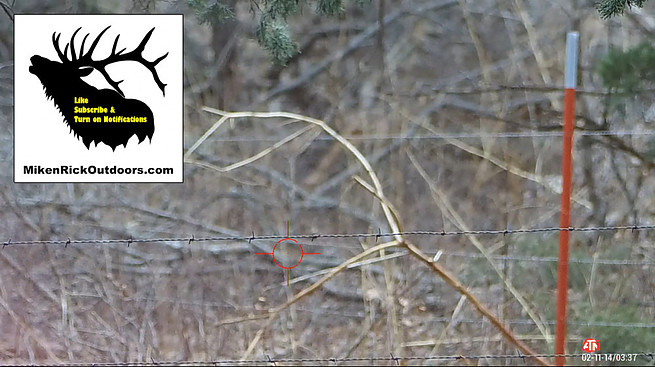 Deer Hunting 10 Point Buck Crossbow