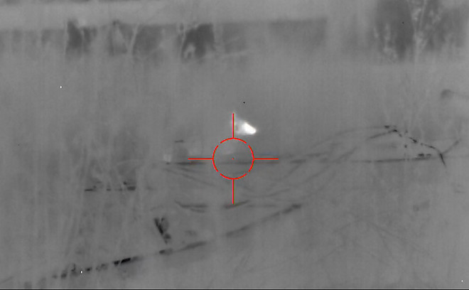 Coyote Hunting with Thermal Scope