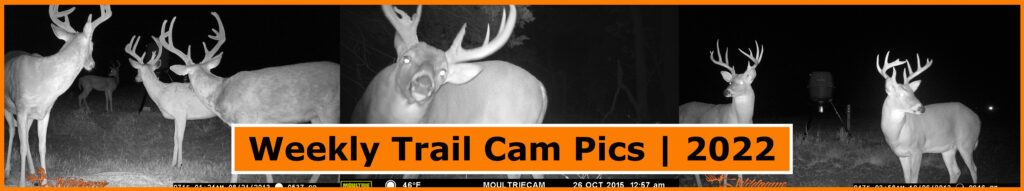 Whitetail Deer Trail Cam Pics