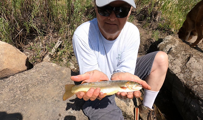 Rainbow Trout Fishing Catch and Release