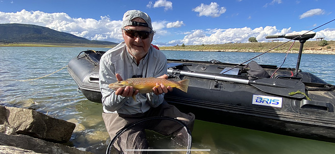 Big Brown Trout Caught in the Miramonte Reservoir