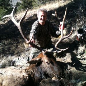 Bull Elk Amalia New Mexico