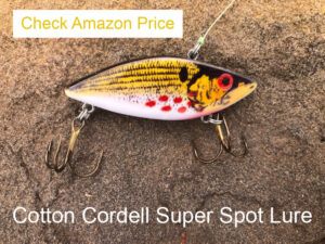 Cotton Cordell Super Spot Lure