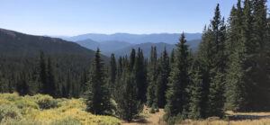 Tanglewood Trail Colorado