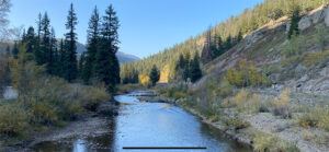 Rio Grand National Forest