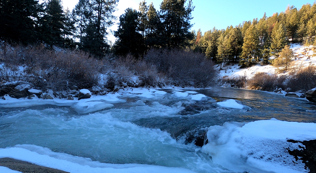 North Fork South Platte River | Mike and Rick Outdoors