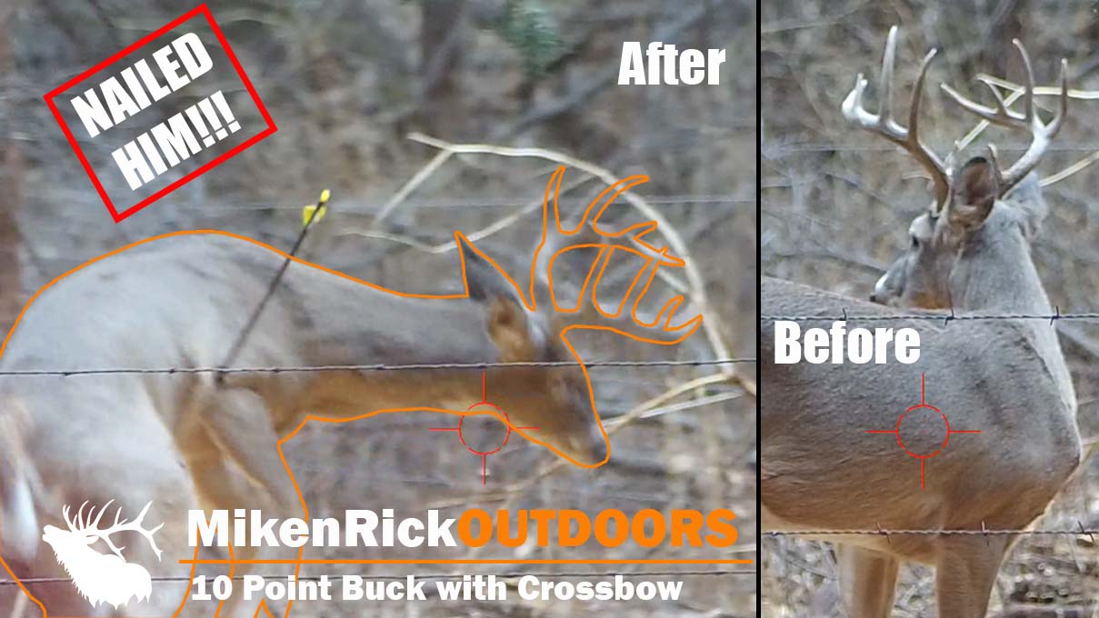 Deer Hunting with Crossbow