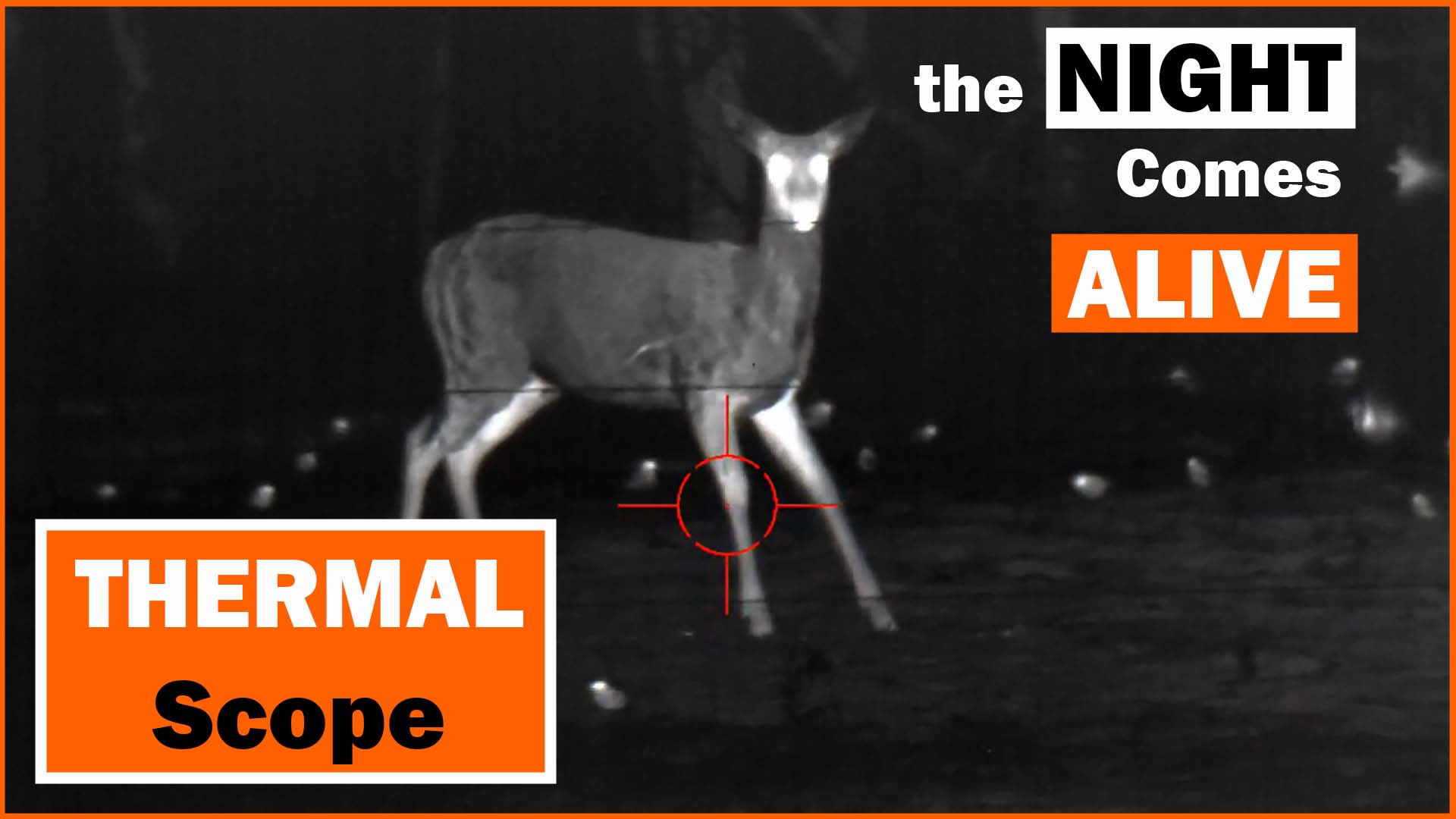 White Tail Deer Video Thermal Scope