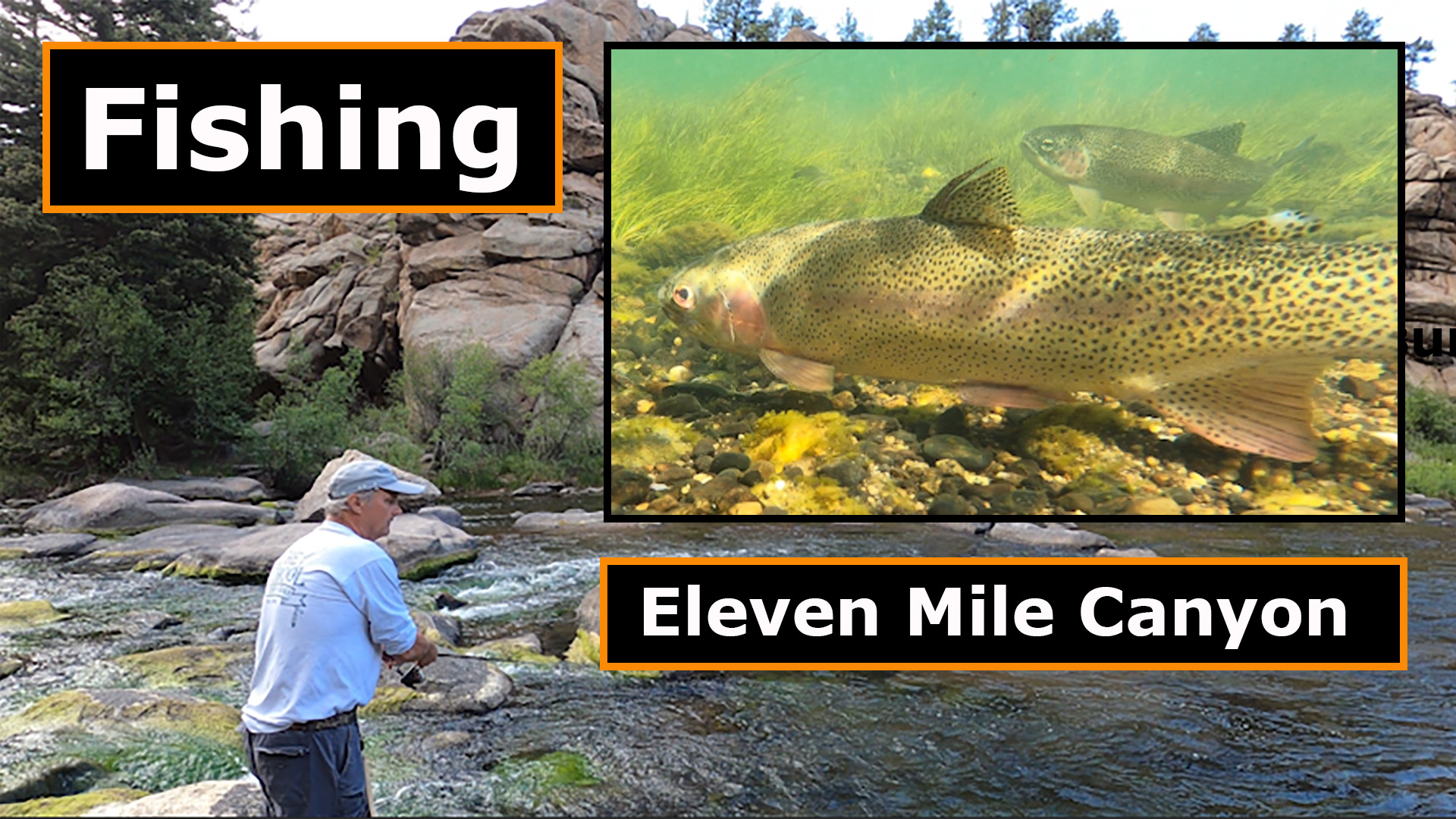 Trout Fishing on the South Platte River